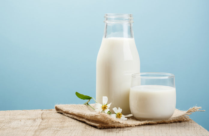 intolerância à lactose